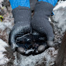 Водонепроницаемые перчатки DEXSHELL THERMFIT 3.0 оливковый L DG12402OGHL